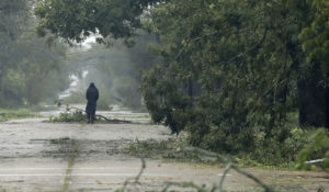 A man walks among fallen trees left in the aftermath of Hurricane Harvey Saturday, Aug. 26, 2017, in Victoria, Tex. (AP Photo/Charlie Riedel)