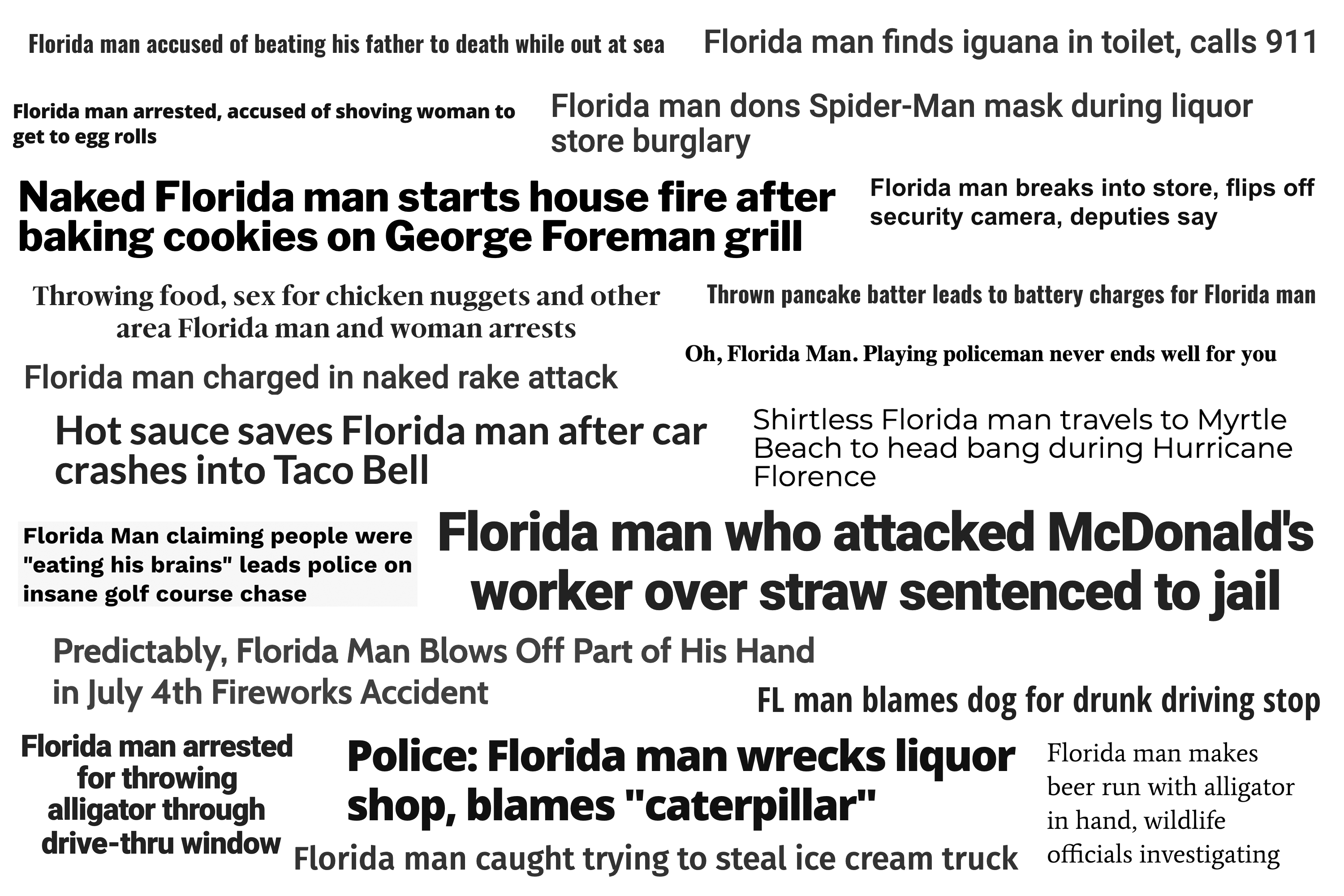 Best Florida Man Headlines Reviews & Experiences