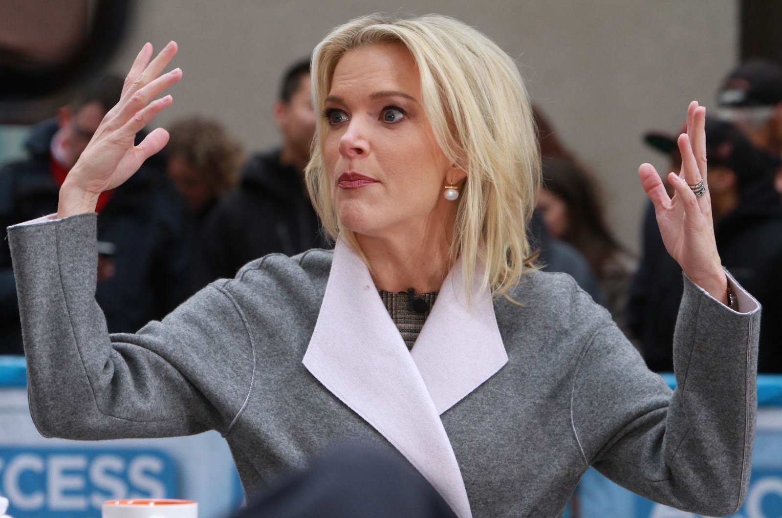 Megyn Kelly’s Embrace Of ‘Tampon Tim’ Insult Backfires Badly (huffpost.com)