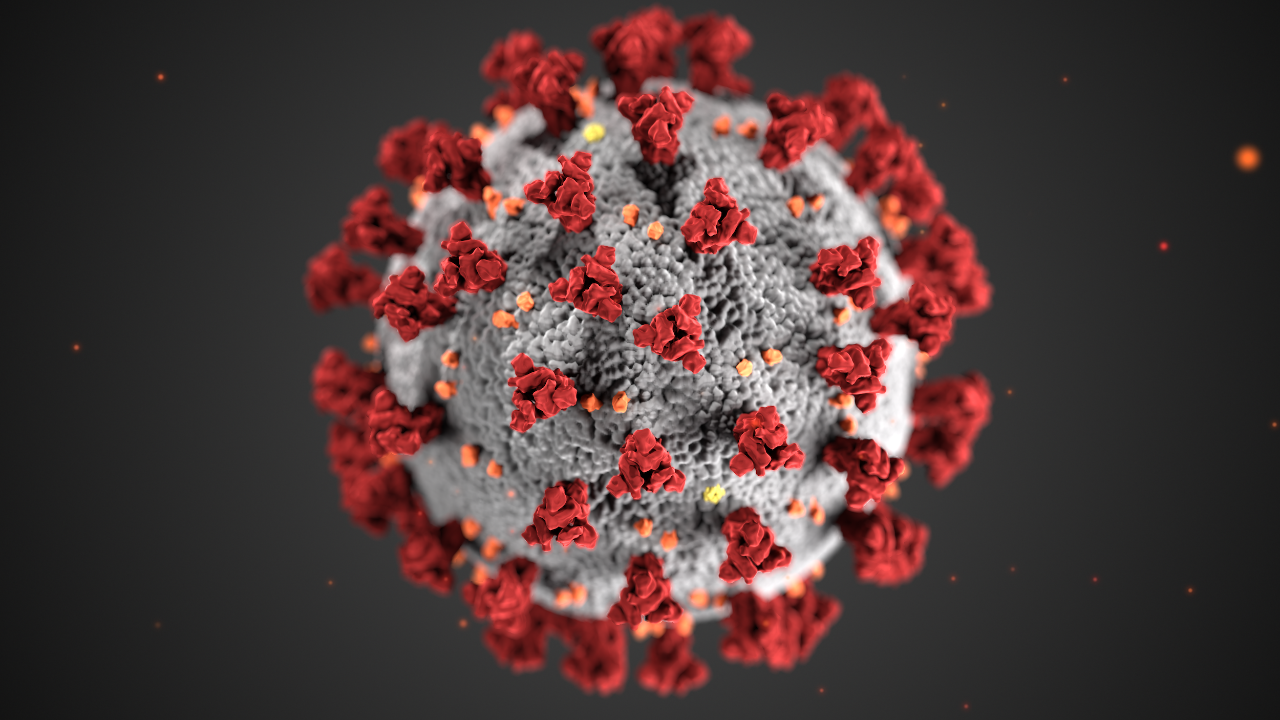 Here Are 20 Coronavirus Related Story Ideas To Help You Expand Your Coverage Poynter