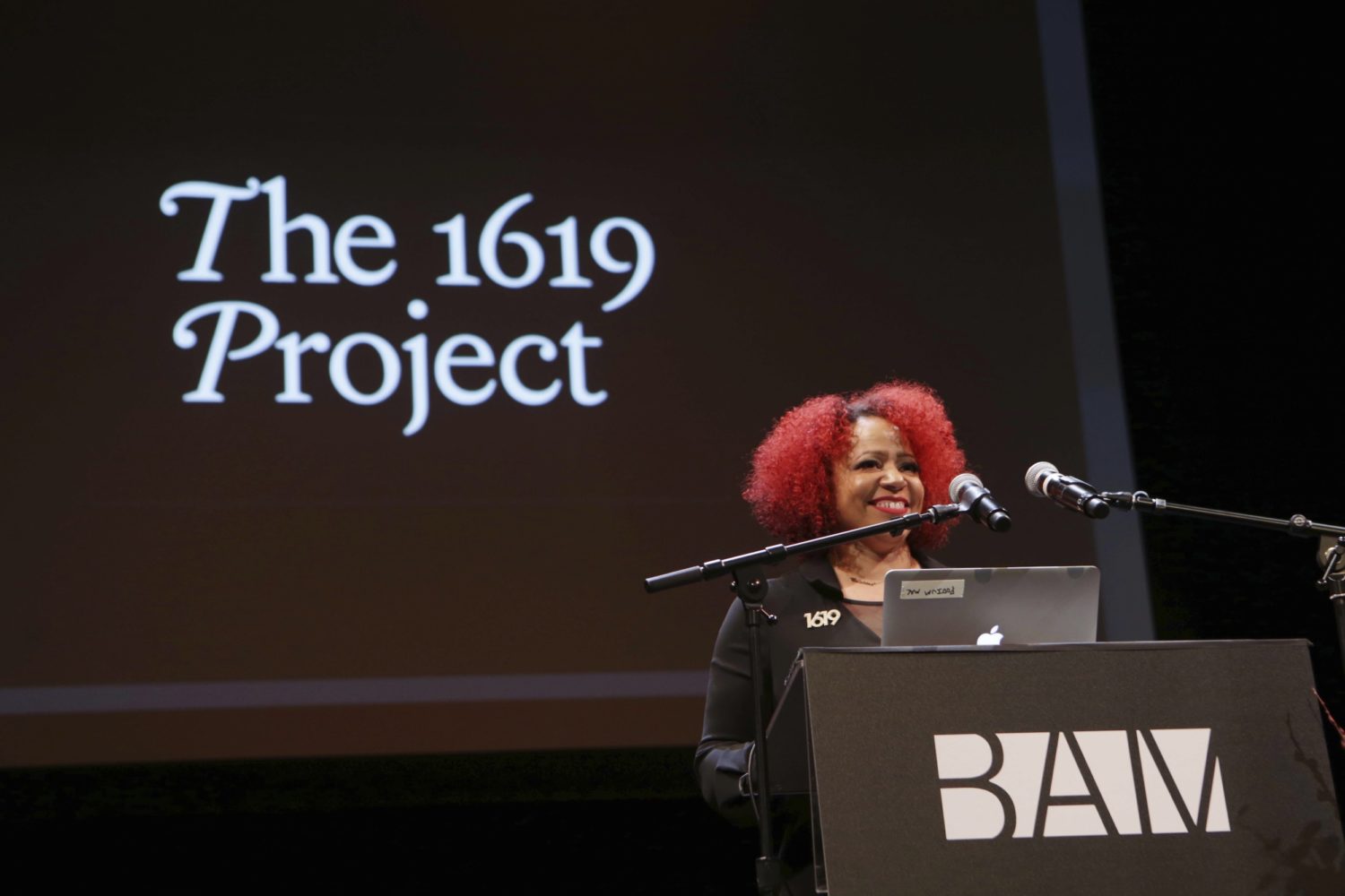 the 1619 project series