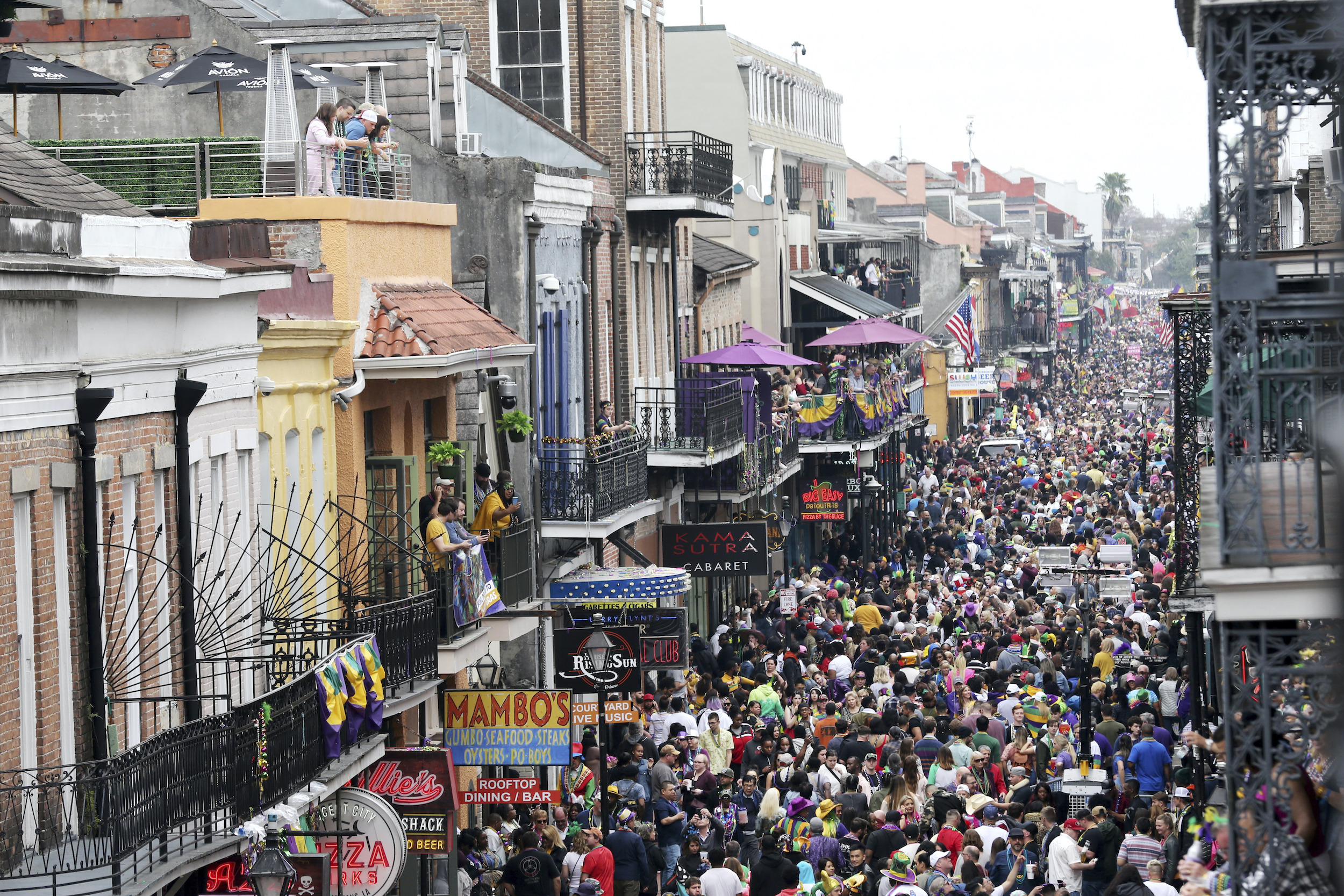 MARDI GRAS - Shop Online – Bonjour Fête