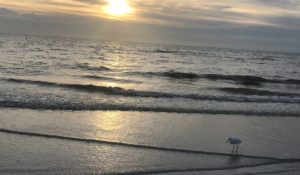 A view from Pass-A-Grille Beach at sunset near St. Petersburg, Florida. (Photo by Barbara Allen)