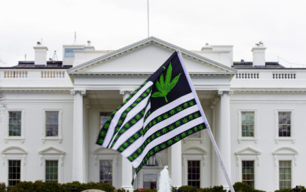 The House Approved It, So When Will The US Legalize Marijuana? – Poynter