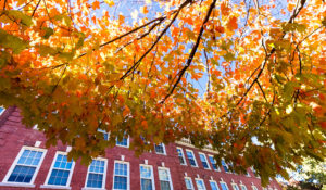 Here's hoping your campus looks like this right about now. (Shutterstock)