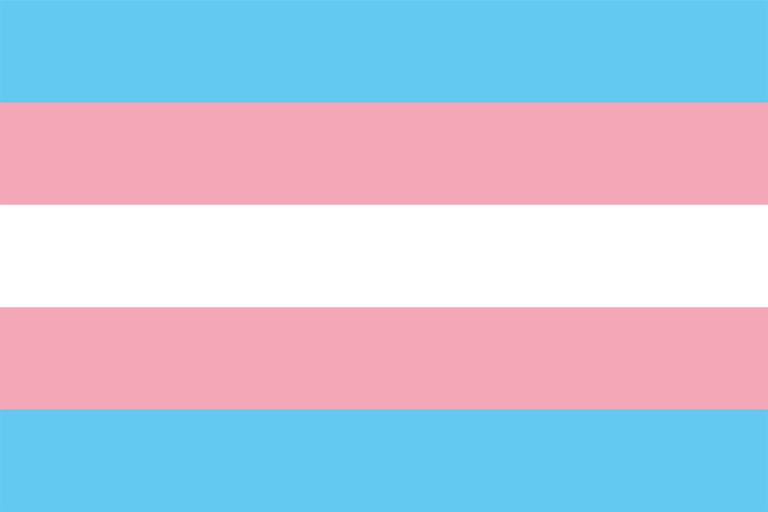 The new colors in the progress pride flag represent trans people, not ...