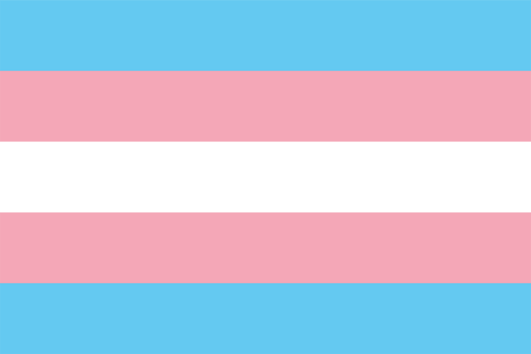 Trans Pride Flag – The Get REAL Movement