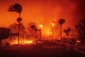 Trees and homes are consumed by fire in the Palisades fire in Los Angeles.